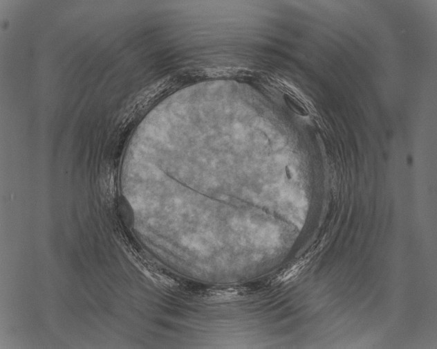 X0000067470405200605051652