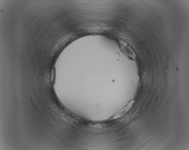 X0000067470407200605051652