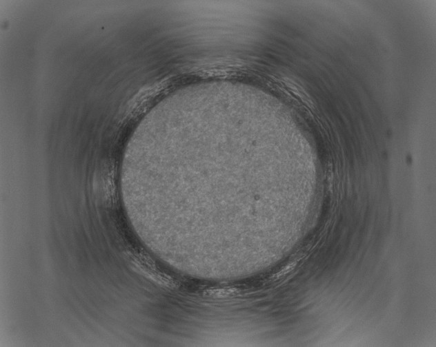 X0000067470408200605051652