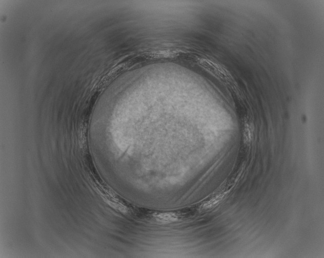 X0000067470409200605051652