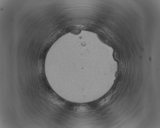 X0000067470412200605051652