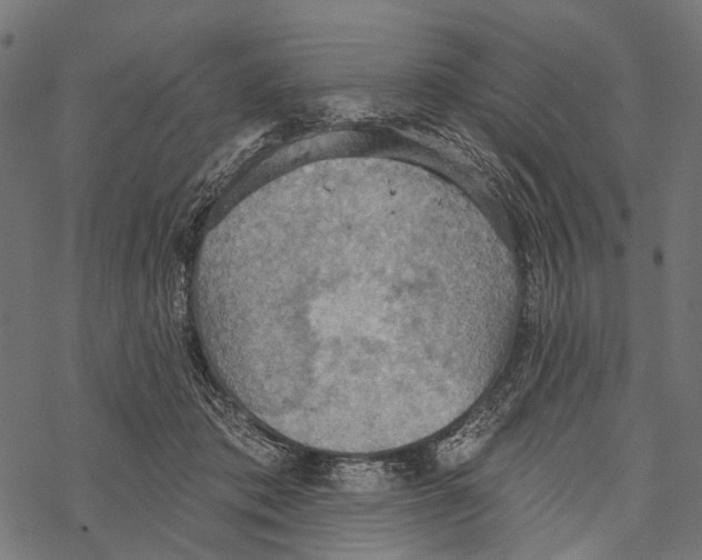 X0000067470413200605051652