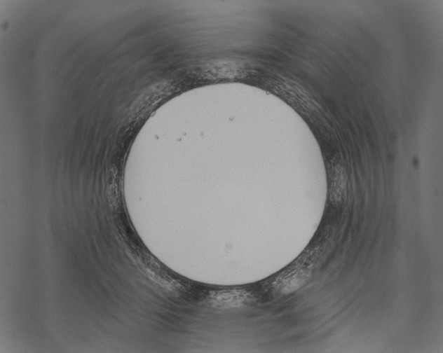 X0000067470414200605051652