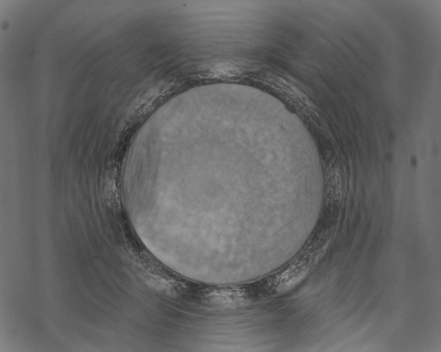 X0000067470415200605051652