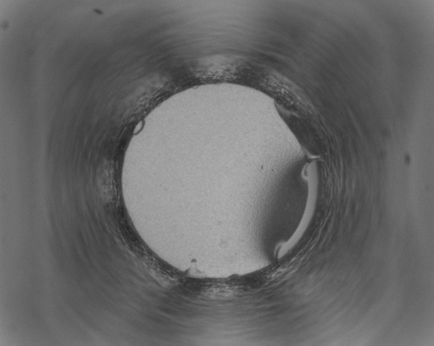 X0000067470416200605051652