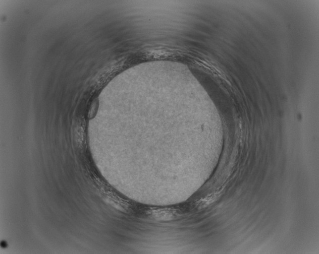 X0000067470417200605051652