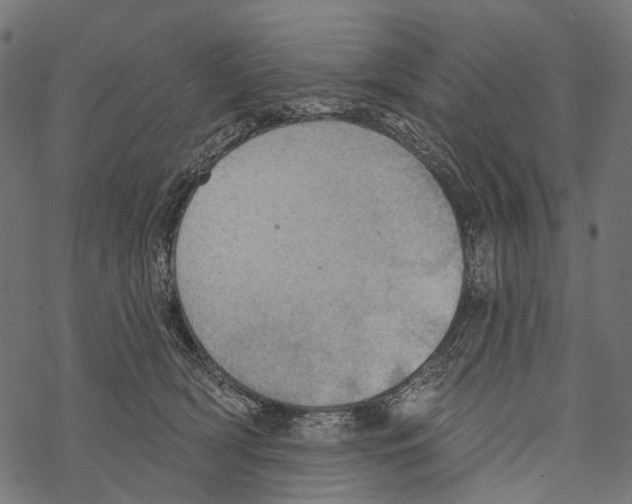 X0000067470418200605051652