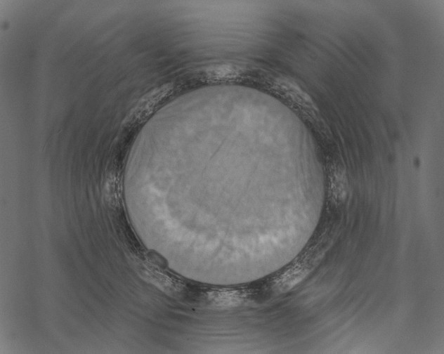 X0000067470419200605051652