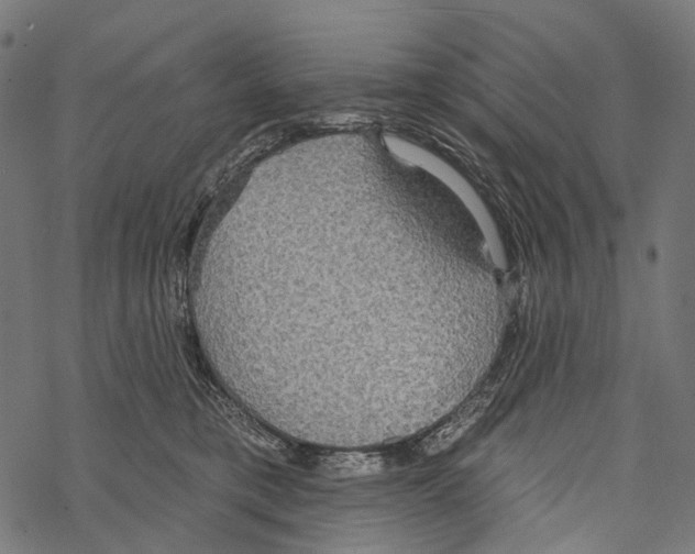 X0000067470421200605051652