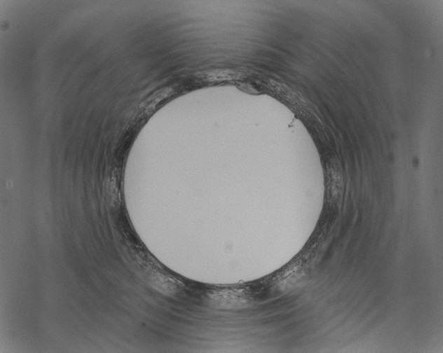 X0000067470422200605051652