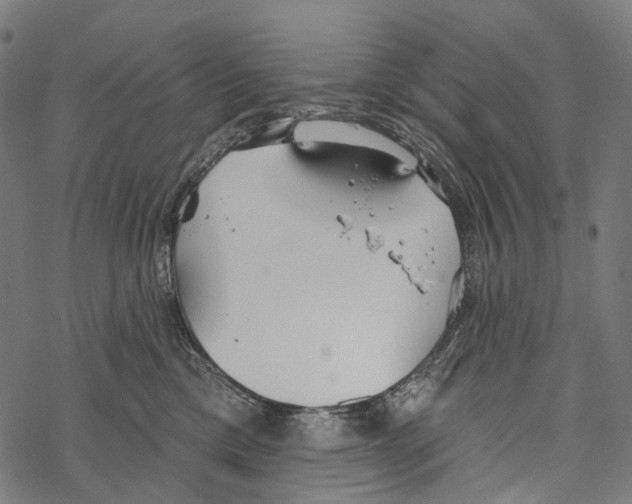 X0000067470425200605051652