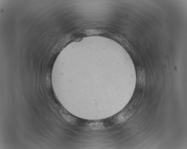 X0000067470426200605051652