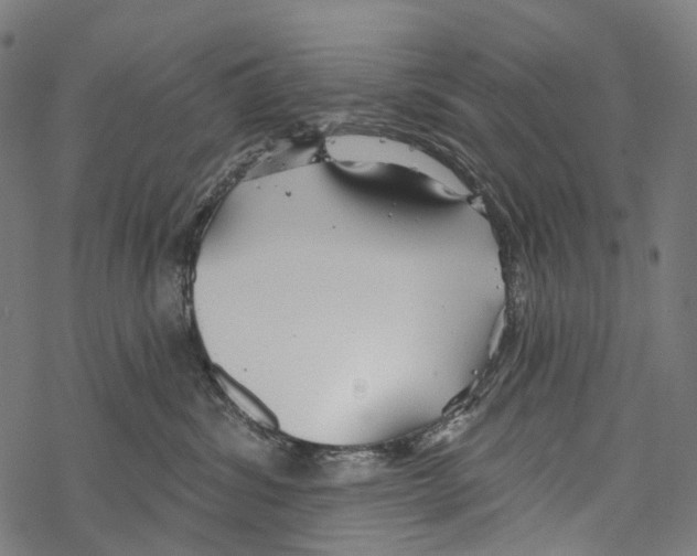 X0000067470428200605051652