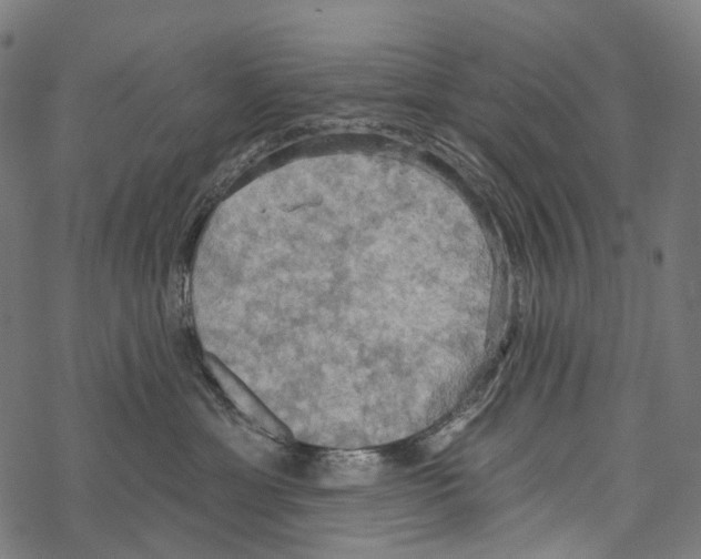 X0000067470429200605051652