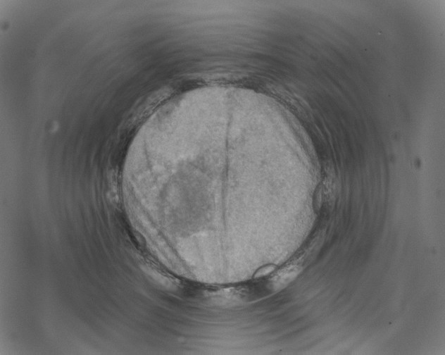 X0000067470430200605051652