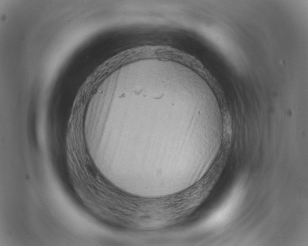 X0000067470431200605051652