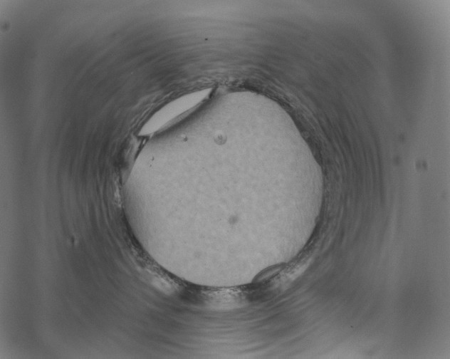 X0000067470432200605051652