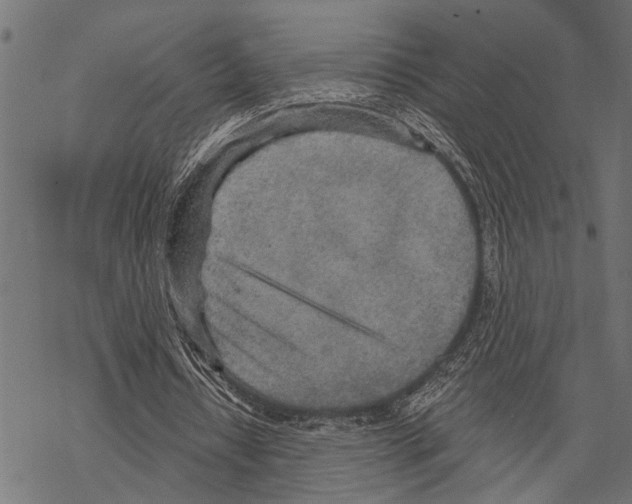 X0000067470434200605051651