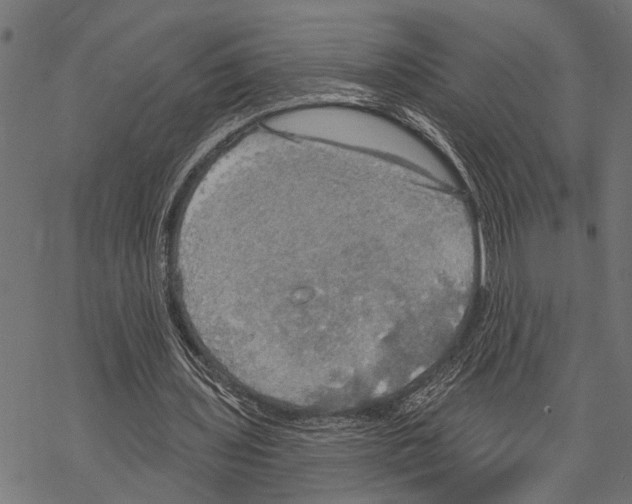 X0000067470435200605051651