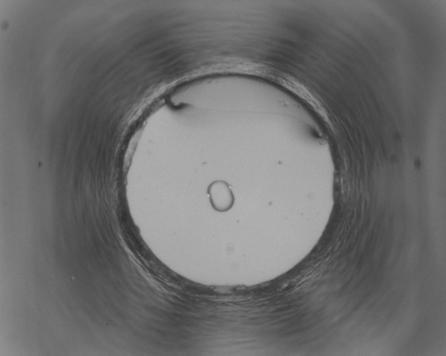 X0000067470436200605051651