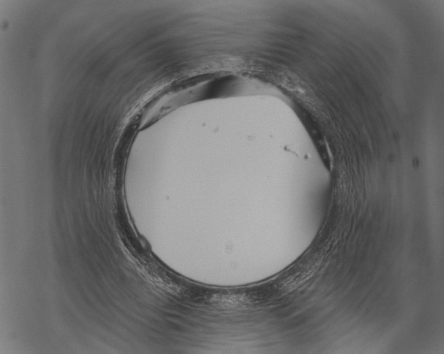 X0000067470440200605051651