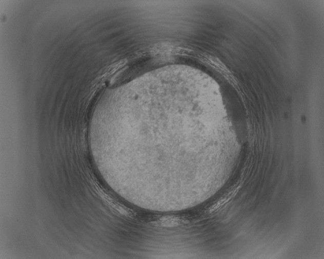 X0000067470441200605051651