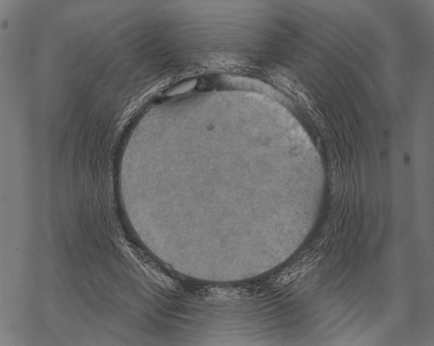 X0000067470442200605051651