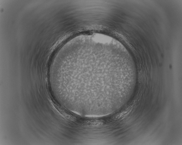 X0000067470443200605051651