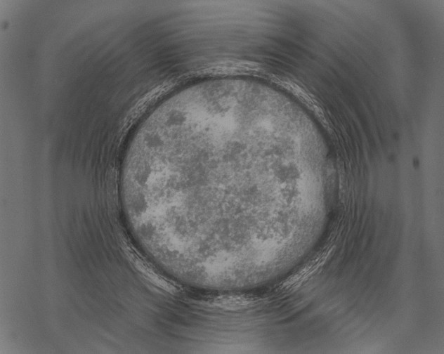 X0000067470445200605051651