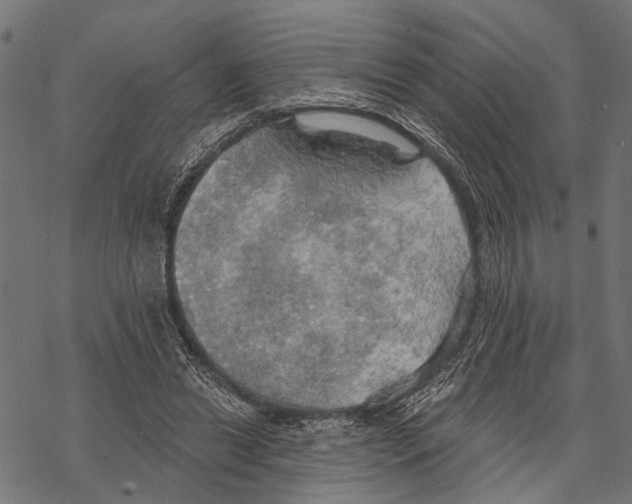 X0000067470446200605051651