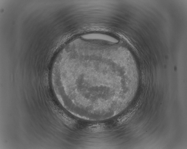 X0000067470447200605051651