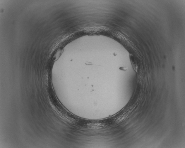 X0000067470448200605051651