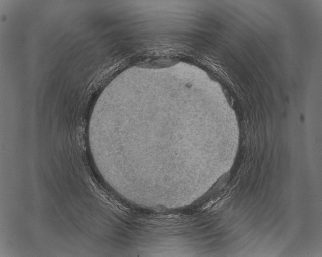 X0000067470450200605051651