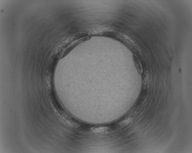 X0000067470452200605051651