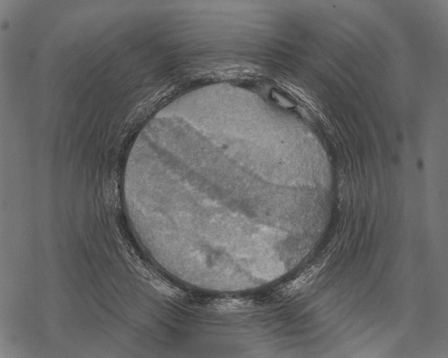 X0000067470453200605051651