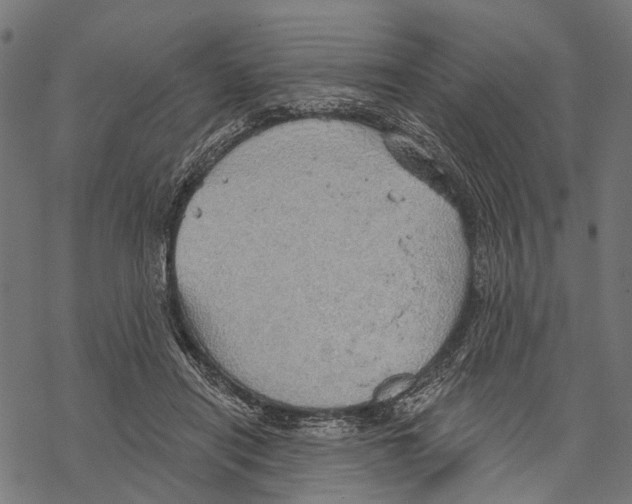 X0000067470454200605051651