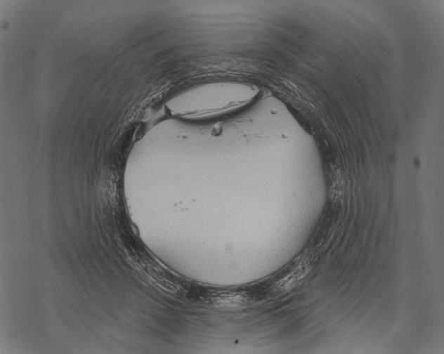 X0000067470456200605051651