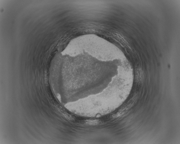 X0000067470457200605051651