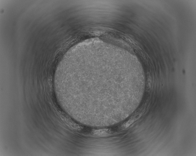 X0000067470461200605051651