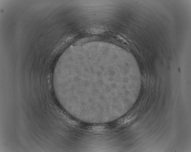 X0000067470462200605051651