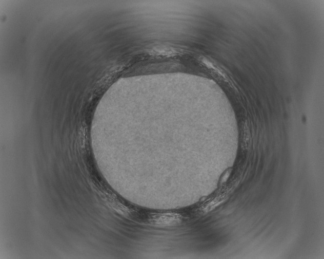 X0000067470463200605051651