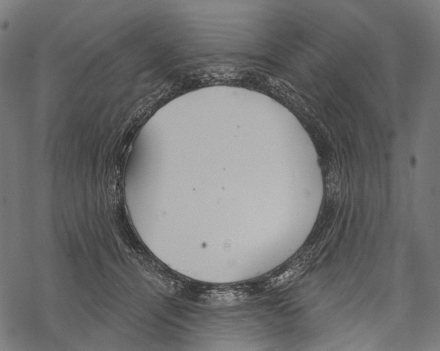 X0000067470464200605051651