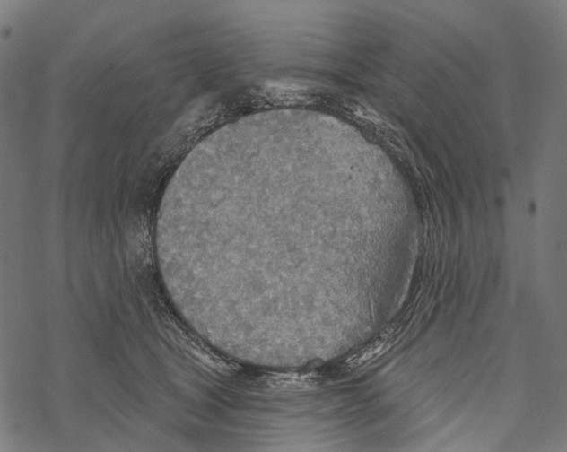 X0000067470465200605051651