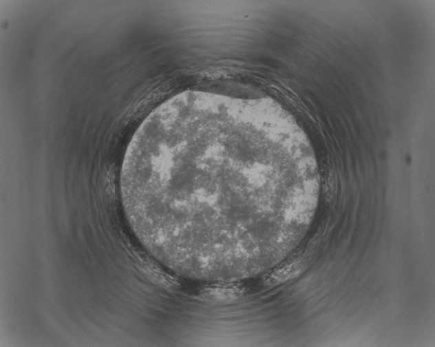 X0000067470466200605051651