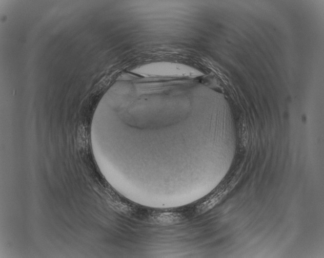 X0000067470467200605051651