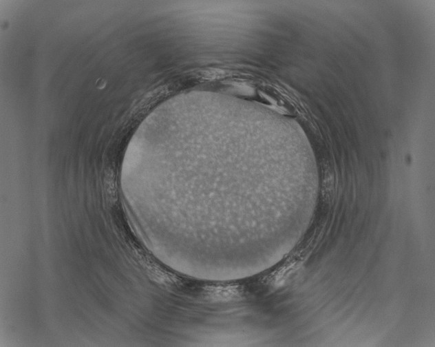 X0000067470469200605051651