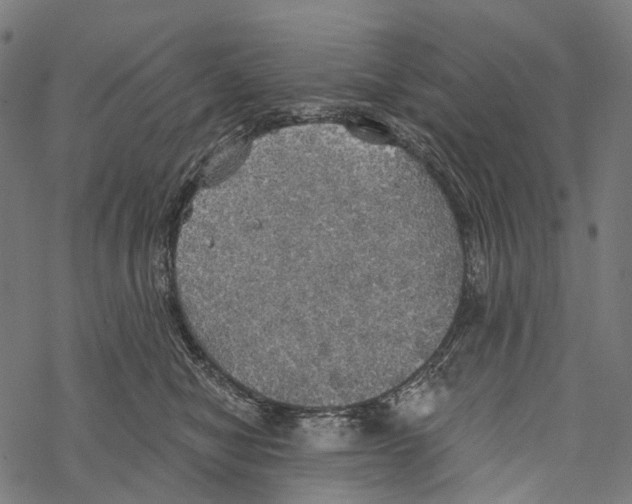 X0000067470470200605051652