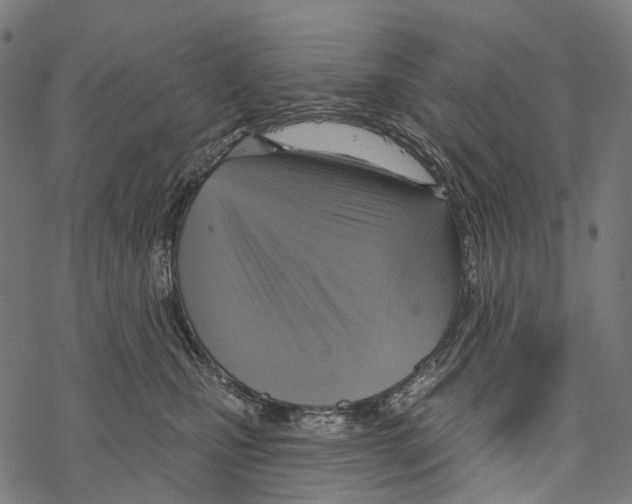 X0000067470471200605051652