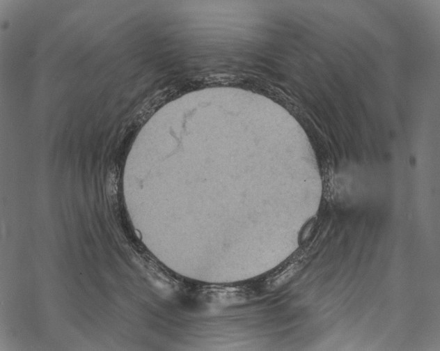 X0000067470472200605051652