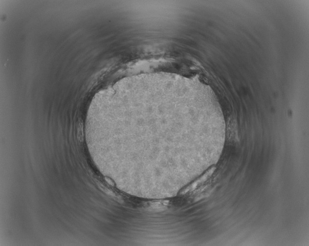 X0000067470474200605051652